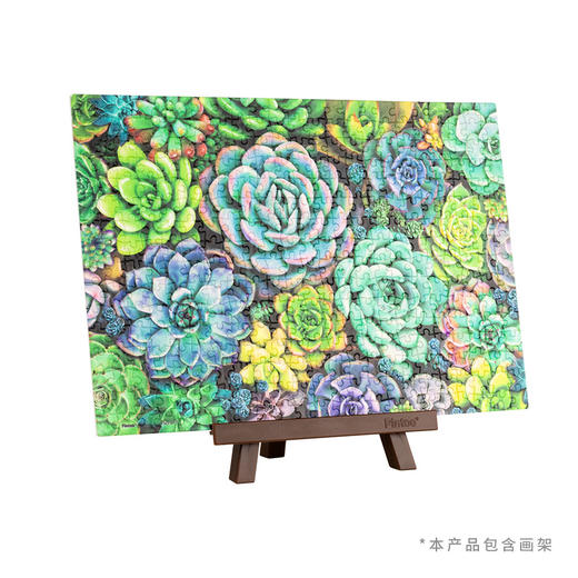 368片 迷你平面拼图 塑料拼图 P1432 多肉花墙 (配小画架) 商品图2