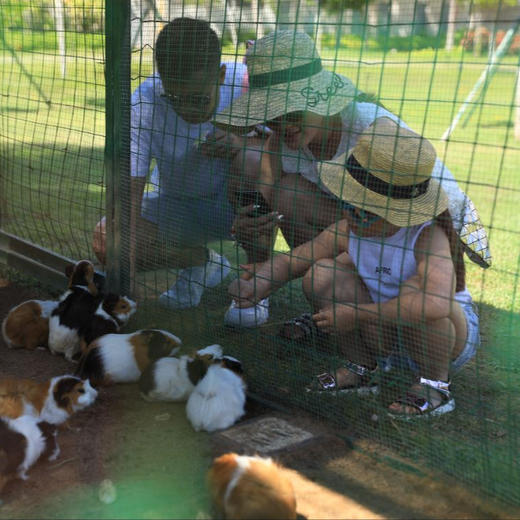 3天2晚【三亚香格里拉度假酒店】五一/端午/暑期可用！海棠湾老牌亲子酒店，含萌娃轻食/探险乐园门票，开心体验丛林小火车、泡泡派对等超丰富亲子活动~ 商品图7