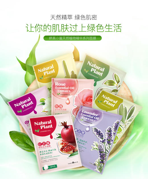 【多款可选】婷美小屋面膜大合集F 商品图8