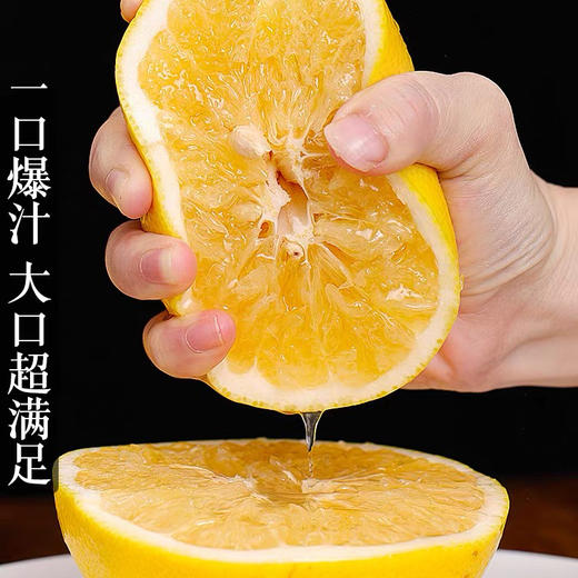 葡萄柚 商品图2