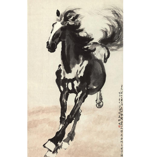 马 卷筒 一张 商品图0