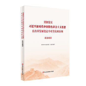 政治建设-贯彻落实新时代中国特色社会主义思想在改革发展 商品图0