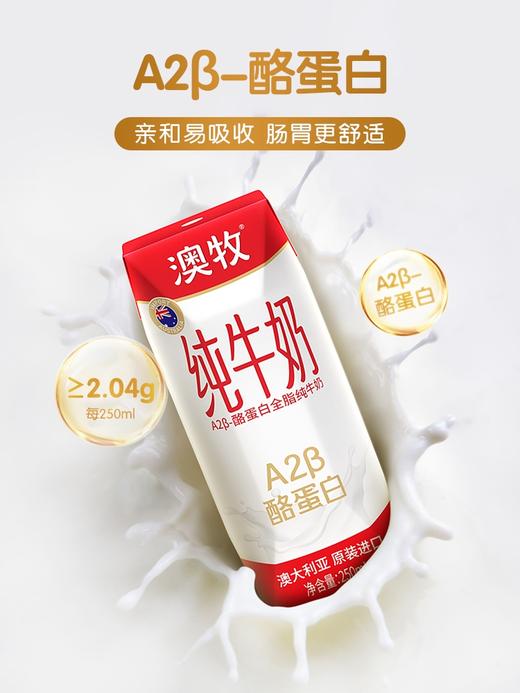 澳牧a2酪蛋白纯牛奶（250mlx10） 商品图2