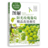 图解阳光玫瑰葡萄栽培 商品缩略图0