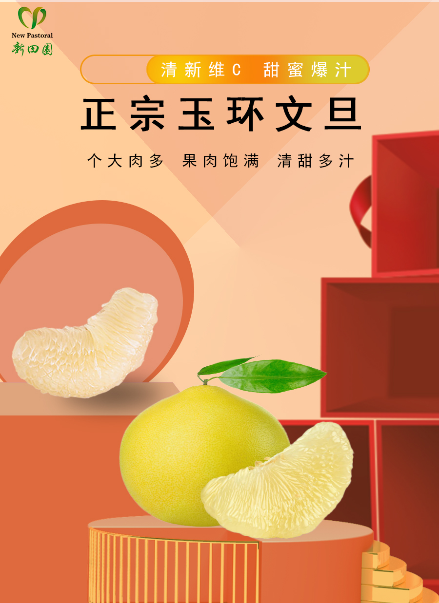 24只装正宗玉环文旦礼盒装江浙沪包邮