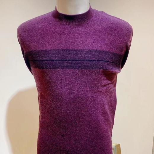 南3春竹羊毛服饰男圆领套衫51904 商品图0