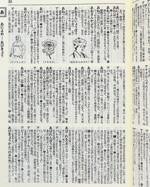 【中商原版】旺文社标准日语国语辞典 第8版 日文原版 旺文社標準国語辞典 第八版 森山卓郎 商品图5