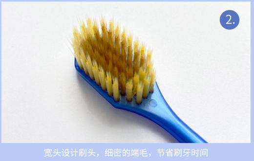 日本进口酷里爱德宽头柔软细毛牙刷-乐享生活装 商品图2