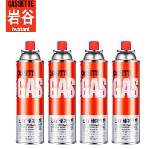 岩谷 大气瓶250g大气瓶 商品图0