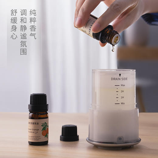 【折扣商品 】香薰机系列 CD1016 正先生-每日一猫-精油为临期商品 商品图3