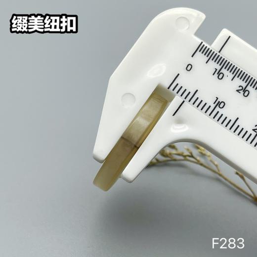 F283(整包购买) 商品图7