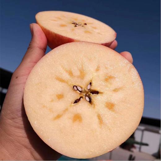 【正宗陕西洛川红富士苹果】 脆甜多汁，一代老农对生态种植的坚守，只需要一口，就能吃出儿时的味道！ 商品图1