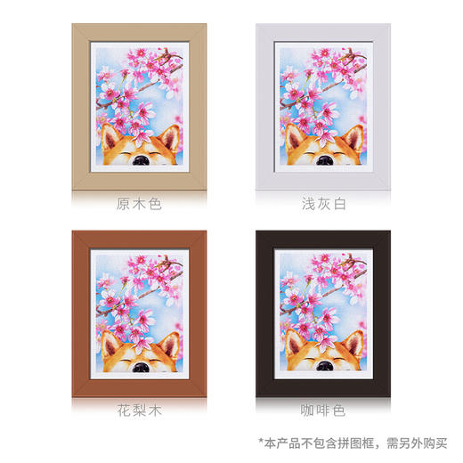 【折扣商品 不退不换】300片 平面拼图 塑料拼图 H2463 樱花系列款- 樱花柴柴 商品图1