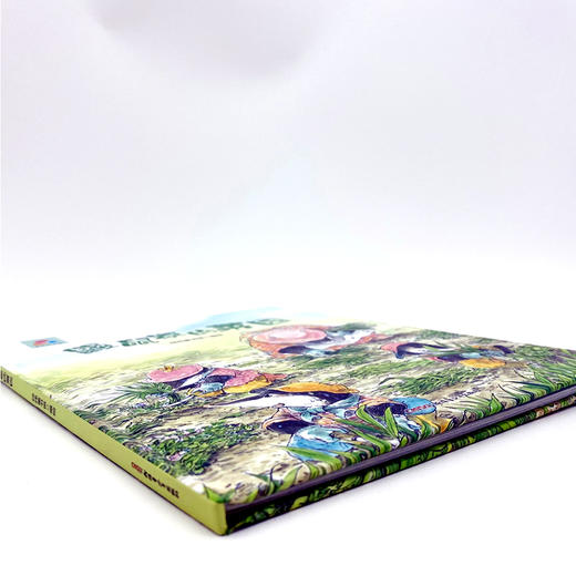 品悦绘本馆：鼹鼠家的菜园 商品图3