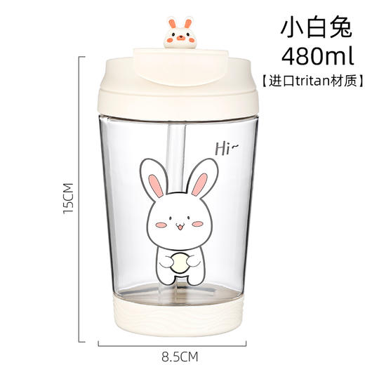 HY3 N6920一盖两用双饮杯玩偶款 兔/猪/龙480ML 商品图0