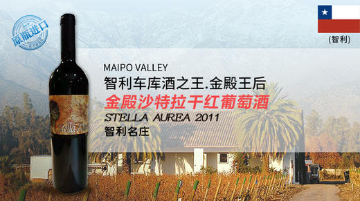 【智利】金殿沙特拉干红葡萄酒2011年 商品图0