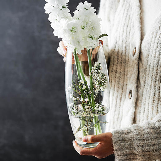 PASABAHCE植物园花瓶260mm 商品图1