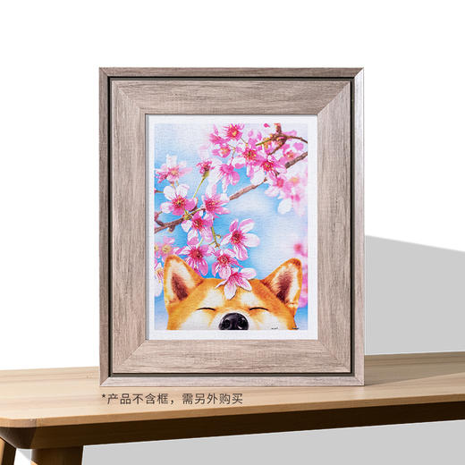 【折扣商品 不退不换】300片 平面拼图 塑料拼图 H2463 樱花系列款- 樱花柴柴 商品图2