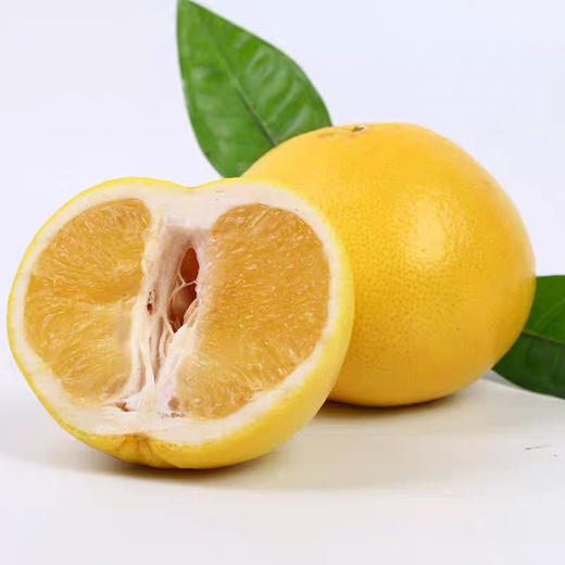 葡萄柚 商品图7
