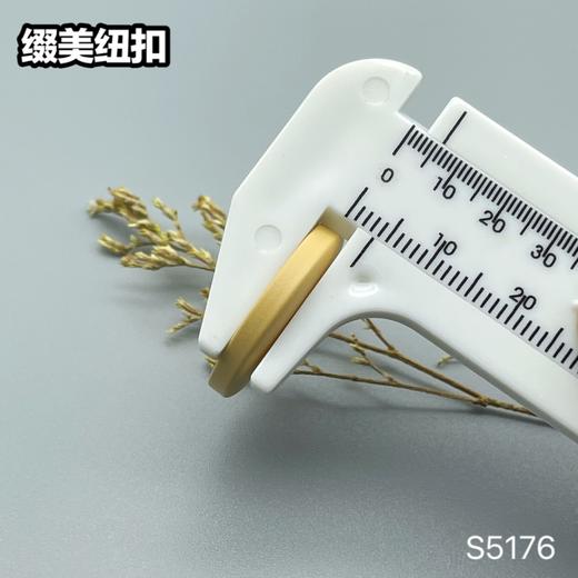 S5176(整包购买) 商品图9