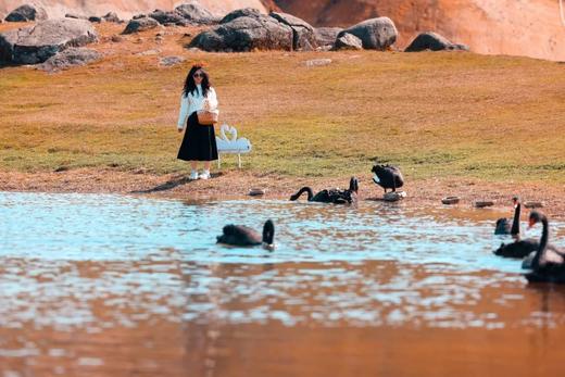 11月5日【郴州】桂阳红枫、仰天湖秋色，高椅岭三天摄影 商品图2