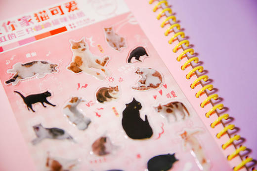 没你家猫可爱 彩虹的三只普通猫咪贴纸 商品图1