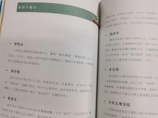 【海南出版社】行者足迹 记录了希阿荣博堪布参观名山古刹及各处胜境的故事 商品图11