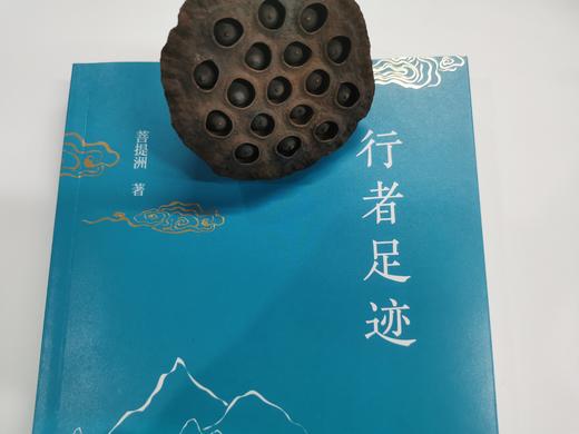 【海南出版社】行者足迹 记录了希阿荣博堪布参观名山古刹及各处胜境的故事 商品图3