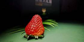 草莓季开始啦！