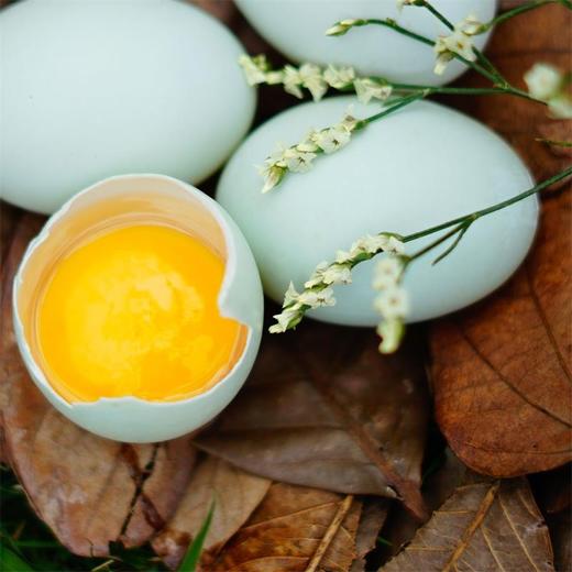 【蔬】鲜鸭蛋 5个约350g 商品图0