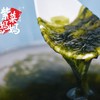 【买四包送一包  买八包送两包再送一罐虾皮】紫菜妈妈有机头茬紫菜   50g/包  （4包/8包） 商品缩略图4