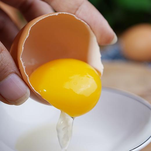 【蔬】五谷虫子鸡蛋 10枚装 约570g 商品图3