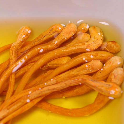 【干货精选】虫草花干货 天然无硫 菌香浓郁 煲汤好滋味 靓食材厨房必备 山珍泡水泡茶 吃法多样 商品图3