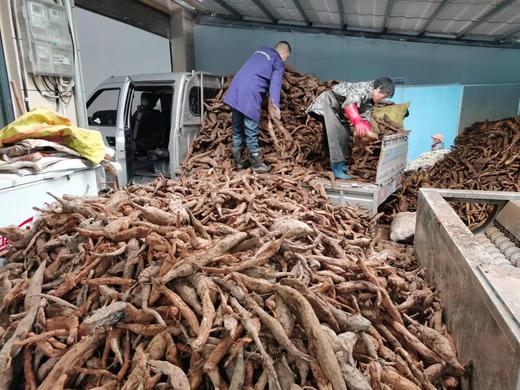 野生 葛根粉 250克 商品图9