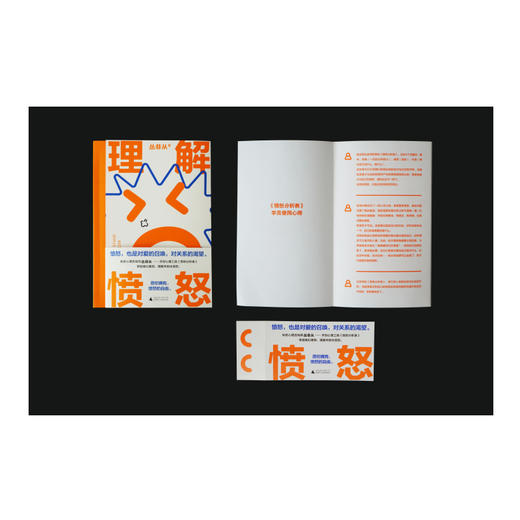 理解愤怒 商品图2