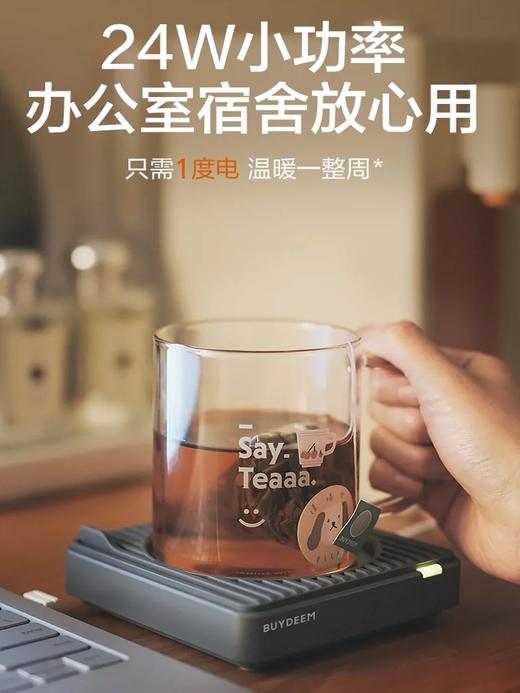 Buydeem 保温加热垫 商品图1