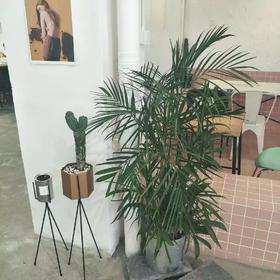 所有最好，都不如刚好