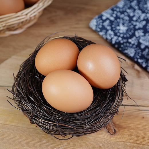 【蔬】五谷虫子鸡蛋 10枚装 约570g 商品图5