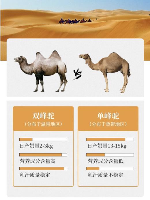 被称为“长寿奶”的沙漠之神全脂纯驼ru粉  有几认证双峰驼奶粉 纯驼奶粉  低温干燥喷粉啭力技术 wu忝加  富含多种微量元素  口感醇香 没有奶膻味   适合全家老小 孕F也可放心食用 商品图8