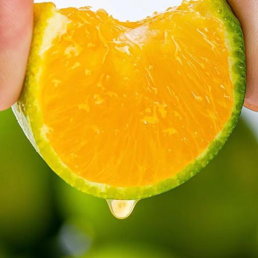 云南冰糖橙大果礼盒装（10-20个）五斤顺丰基地包邮 商品图2