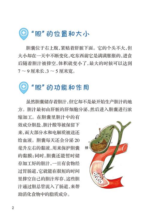 读懂胆囊发出的求助信号胆囊疾病就医指导 引导患者科学就医 构建和谐医患关系 汤朝晖 主编 9787117322454 人民卫生出版社 商品图4