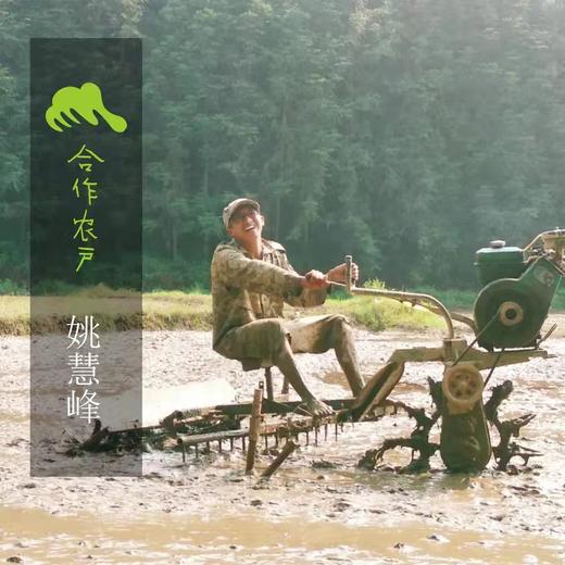 2025年有机大米份额预售（籼米，运费不打折） | 合作生产*Organic rice subscription | Partner Production 商品图1