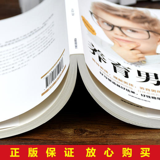 【9.9元包邮】养育男孩正版书籍加正面管教男孩如何说孩子才会听给孩子不打不骂培养 商品图3