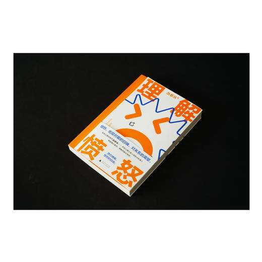 理解愤怒 商品图3
