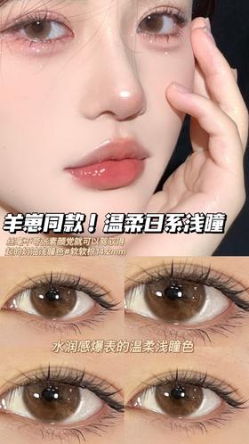 hushlens 年抛 软软棕/软软灰 0-800度