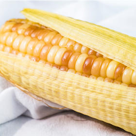 云南版纳香糯小玉米  加热即食（4斤装）
