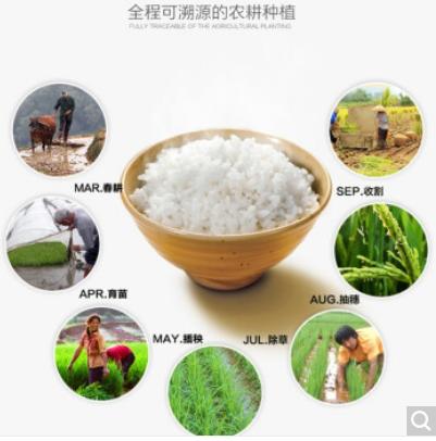 云南八宝贡米 高原小粒香5kg 贡米 云南特产高原大米 5kg 商品图1