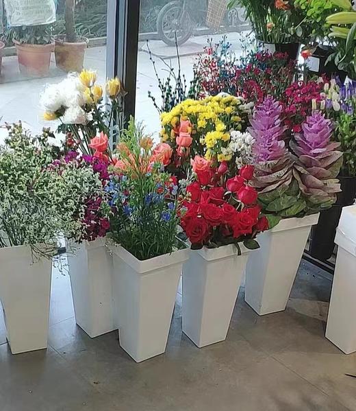 【琳琅】塑料方形养花桶 商品图3