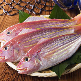 冰鲜金丝鱼 500g