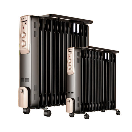 先锋电热油汀13片【DYT-Z9】 商品图0